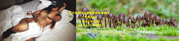 молекула духа Армянск