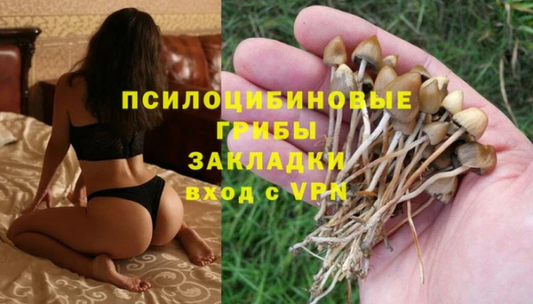 гашиш Арсеньев