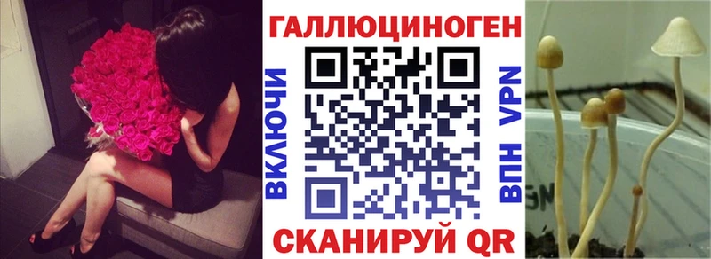 Псилоцибиновые грибы Magic Shrooms  Купить где  Белорецк 
